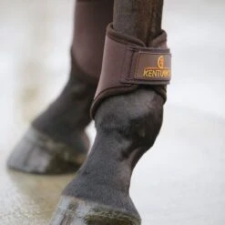 Kentucky Horsewear Turnout Boots 3D Spacer Kurz Schwarz Warmblut -Waldhausen Verkäufe 2024 kentucky turnout boots 3d spacer kort bruin.581063