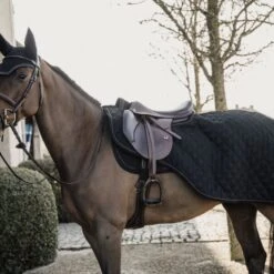 Kentucky Horsewear Kentucky Ausreitdecke 160g Navy -Waldhausen Verkäufe 2024 kentucky uitrijdeken 160g zwart.300dce