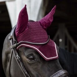 Kentucky Horsewear Kentucky Ohrnetz Wellington Velvet Dunkelgrün -Waldhausen Verkäufe 2024 kentucky wellington oornet bordeaux.56b63b