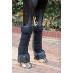 Covalliero Unterlappen Schwarz -Waldhausen Verkäufe 2024 kerbl 163740.0f4e62