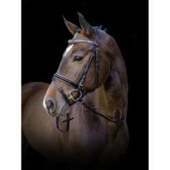 Kerbl Trense Kingston Englisch Kombiniert Braun -Waldhausen Verkäufe 2024 kerbl 321048720.2e575d