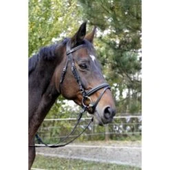 Kerbl Trense Classic Leder Klassik Braun 11 Kerbl Trense Classic Leder Klassik Braun -Waldhausen Verkäufe 2024 kerbl 326137.b6d1a0