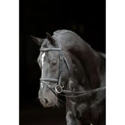 Kerbl Trense Classic Leder Klassik Braun 13 Kerbl Trense Classic Leder Klassik Braun -Waldhausen Verkäufe 2024 kerbl 32613720.f4dd03