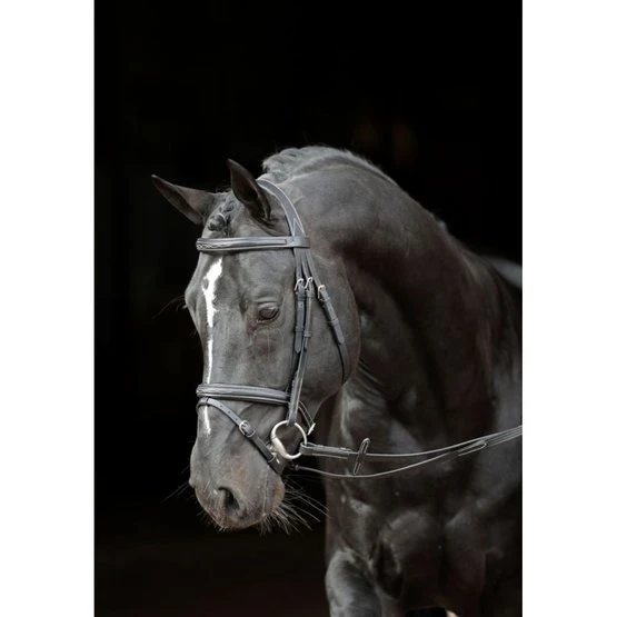 Kerbl Trense Classic Leder Klassik Braun 8 Kerbl Trense Classic Leder Klassik Braun – Bild 6