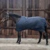 Kentucky Horsewear Kentucky Turnout Rug All Weather Hurricane 50g Navy 2 Kentucky Horsewear Kentucky Turnout Rug All Weather Hurricane 50g Navy -Waldhausen Verkäufe 2024 kh 52160 03 1.569d8b