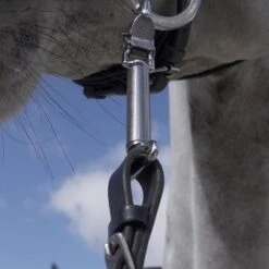 Kieffer Light Hand Silber -Waldhausen Verkäufe 2024 kieffer 14100028 light hand 4.da67a3