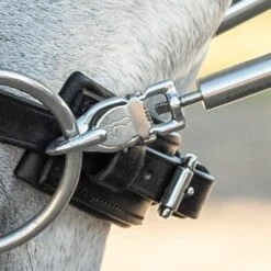 Kieffer Light Hand Silber -Waldhausen Verkäufe 2024 kieffer 14100028 light hand 9.326eb4