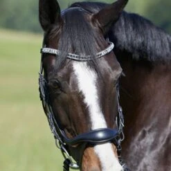 Kieffer Trense Luisa Schwarz/Amber -Waldhausen Verkäufe 2024 kieffer 3150 luisa ge 2176 horse 2.62145b