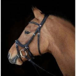 Kieffer Zaum Ilona Schwarz/weißes Stirnband Schwarz -Waldhausen Verkäufe 2024 kieffer 3157 ilona horse 0a.430774