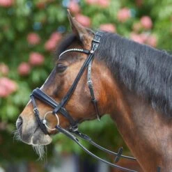 Kieffer Trense Sylvie II Crystals/Pearls Schwarz/Weiß -Waldhausen Verkäufe 2024 kieffer 44981814 1.43ac1c