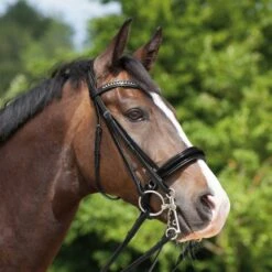 Kieffer Kandarenzaum Paris White Crystals Schwarz/Weiß -Waldhausen Verkäufe 2024 kieffer 44982338 1.4c0cfa 1