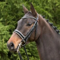 Kieffer Kandarenzaum Paris White Crystals Schwarz -Waldhausen Verkäufe 2024 kieffer 44982339 1.2563c5