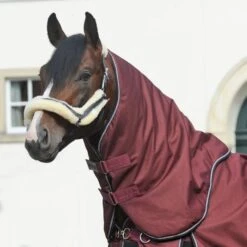 Kavalkade Halsstück Alaska IV 100g Bordeaux -Waldhausen Verkäufe 2024 kv 46440.0bbbc3