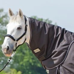 Kavalkade Halsstück Alaska IV 100g Bordeaux -Waldhausen Verkäufe 2024 kv 46440 01.44b89e