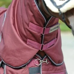 Kavalkade Halsstück Alaska IV 100g Bordeaux -Waldhausen Verkäufe 2024 kv 46440 05.52e327