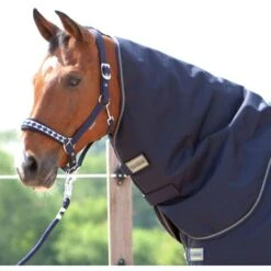 Kavalkade Halsstück Montreal 100g Grün -Waldhausen Verkäufe 2024 kv 46740 01.80e1d6