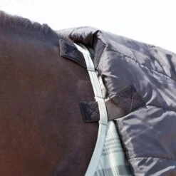 Kavalkade Halsstück Montreal 100g Grün -Waldhausen Verkäufe 2024 kv 46740 03.3c3702