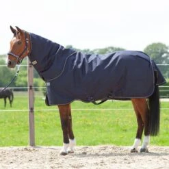 Kavalkade Halsstück Montreal 100g Grün -Waldhausen Verkäufe 2024 kv 46740 04.f31049