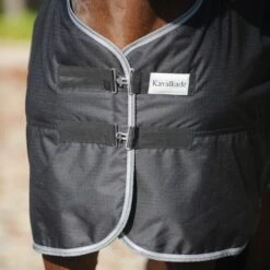 Kavalkade Outdoordecke Winnipeg 200g Navy -Waldhausen Verkäufe 2024 kv 46810 01.5d0e7e