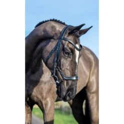 LeMieux Zaum Arika Drop Schwarz/Silber -Waldhausen Verkäufe 2024 lemieux it03734 lifestyle arikadropbridle black silver 2.a0fdd0