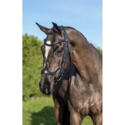 LeMieux Zaum Arika Drop Schwarz/Silber -Waldhausen Verkäufe 2024 lemieux it03734 lifestyle arikadropbridle black silver 4.c6a8d1