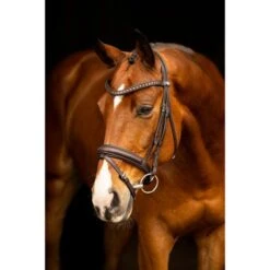 LeMieux Zaum Arika Dressage Braun/Silber -Waldhausen Verkäufe 2024 lemieux it03739 lifestyle arikadressagebridle brown 1.45d128