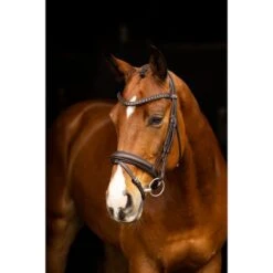 LeMieux Zaum Arika Dressage Braun/Silber -Waldhausen Verkäufe 2024 lemieux it03739 lifestyle arikadressagebridle brown 2.7c405a