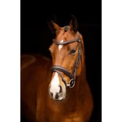 LeMieux Zaum Arika Dressage Braun/Silber -Waldhausen Verkäufe 2024 lemieux it03739 lifestyle arikadressagebridle brown 4.8cc55a