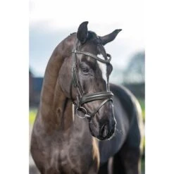 LeMieux Zaum Arika Dressage Braun/Silber -Waldhausen Verkäufe 2024 lemieux it03740 lifestyle arikadressagebridle black 4.12023a