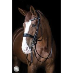 LJ-Leathers Kandarenzaum Serrena Rund Genäht Schwarz/Weiß -Waldhausen Verkäufe 2024 lj ps111bl.3c115c