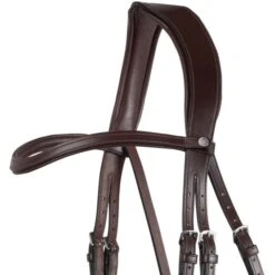 Montar Stirnriemen Classic Gebogen Braun -Waldhausen Verkäufe 2024 montar montar 64200 8.2863a3 1