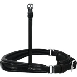 Passier Nasenriemen Anatom. Kandare Lackleder Schwarz Pony