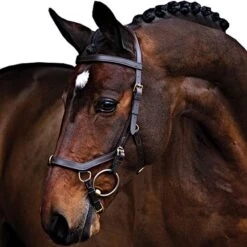 Rambo Micklem Multibridle Ohne Zügel Schwarz Pony -Waldhausen Verkäufe 2024 productagradi z000223 2.660a47