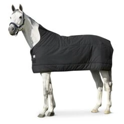 Eskadron Unterdecke Cotton 240g Schwarz -Waldhausen Verkäufe 2024 producteskadron c66ed062 1114 4890 acf6 4c2d5beb474b.4766a1