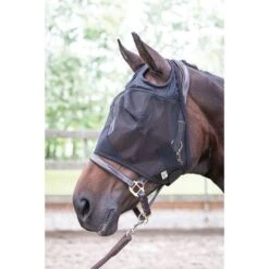 Harry's Horse Fliegenmaske Flyshield Ohne Ohren 9 Harry's Horse Fliegenmaske Flyshield Ohne Ohren -Waldhausen Verkäufe 2024 producthar 31300008.e09612