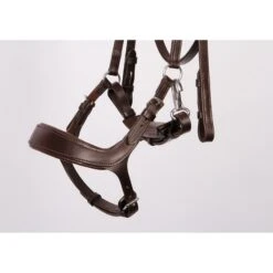 Harry's Horse Trense Release Kombiniertes Reithalfter Braun -Waldhausen Verkäufe 2024 producthh 28000045 bruin 3.9d6a7c