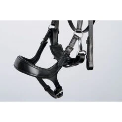 Harry's Horse Trense Release Kombiniertes Reithalfter Braun -Waldhausen Verkäufe 2024 producthh 28000045 zwart 3.757215