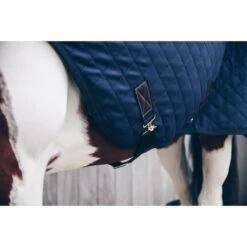 Kentucky Horsewear Kentucky Führanlagendecke 160g Navy -Waldhausen Verkäufe 2024 productkentucky 52105 3 2.b7529d