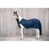 Kentucky Horsewear Kentucky Führanlagendecke 160g Navy -Waldhausen Verkäufe 2024 productkentucky 52105 3.3c393e