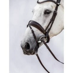 PS Of Sweden Zaum Flying Change Braun -Waldhausen Verkäufe 2024 ps dsc 6388.bdd3b2