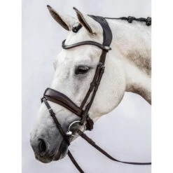 PS Of Sweden Zaum Flying Change Schwarz -Waldhausen Verkäufe 2024 ps dsc 6393.b2d3b3 1