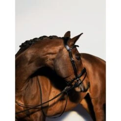 PS Of Sweden Zaum Flying Change Braun -Waldhausen Verkäufe 2024 ps dsc 8029.4148bf