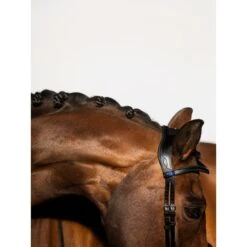 PS Of Sweden Zaum Flying Change Braun -Waldhausen Verkäufe 2024 ps dsc 8065.e38f81