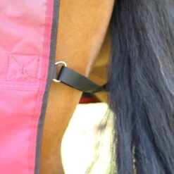 Tempest Original Winterdecke Turnout 200g Combo Maroon -Waldhausen Verkäufe 2024 redskeleton 9332 redskeleton 2.348498