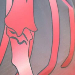 Tempest Original Winterdecke Turnout 200g Combo Maroon -Waldhausen Verkäufe 2024 redskeleton 9332 redskeleton 4.b65bd5