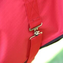 Tempest Original Winterdecke Turnout 200g Combo Maroon -Waldhausen Verkäufe 2024 redskeleton 9332 redskeleton 5.ef19d0