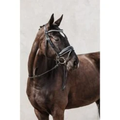 Schockemöhle Trense Premium Sports Malibu Schwarz/Patent/Silber -Waldhausen Verkäufe 2024 schockemohle 1101 00041 10 schockemoehle sports trense malibu black patent white silver 2arqnk1svbruit.f74a29