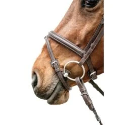 Schockemöhle Zaum Cape Town Select Schwarz/Silber -Waldhausen Verkäufe 2024 schockemohle 1101 00066 capetownselect espresso silver img02961.ecf7a2 1