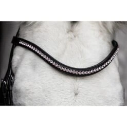 Schockemöhle Stirnriemen Diamond Select Schwarz/Berry/Shades -Waldhausen Verkäufe 2024 schockemohle 1102 00079 browbanddiamondselect mauve img26.335418 1