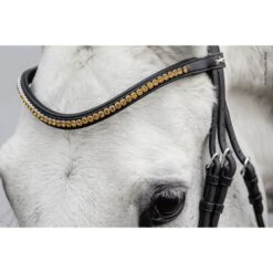 Schockemöhle Stirnriemen Diamond Select Schwarz/Berry/Shades -Waldhausen Verkäufe 2024 schockemohle 1102 00079 browbanddiamondselect orange img1.df31b7 1